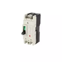 Auto breaker model TNF63CW-2P32A, power 7.5 KA, 2 phase, 32 amps, cream color