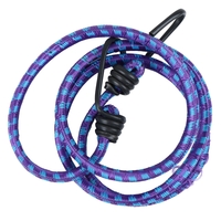 PAN.S 5FT ELASTIC HOLDER