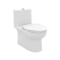 One Piece Toilet American Standard 0 4.8 L