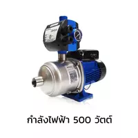 ปั๊มน้ำ อัตโนมัติ LOWARA 500 วัตต์ โลวาร่า 500W รุ่น E-HM 3HM06/PF12