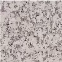กระเบื้องปูพื้น 60x60 ซม. (24x24 นิ้ว) หินแกรนิต ครีมจีน ดาร์กฟลาวเวอร์