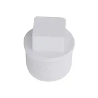 VALVE PLUG-WS WHITE 20