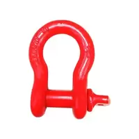 Shackles 6.5T