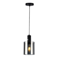 LIGHTMOST Ceiling lamp MD54158-1 E27 40W Black
