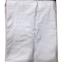 ผ้าใบ PVC SPRING 2X3 เมตร สีใส