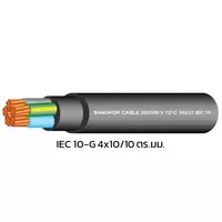 สายไฟ IEC 10-G 4x10/10 ตร.มม. BCC