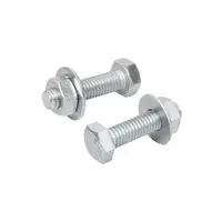 น็อตครบชุด ชุบขาว DEXZON 1/2X2" 0.5kg