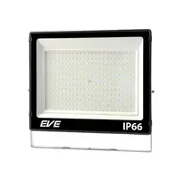 EVE BEST 200 Watt DAYLIGHT LED Outdoor Spotlight (1262530)