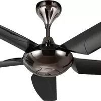 CEILING FAN NOL 556-BK CAR ABSMDBK 56"5P