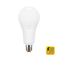 LAMPTAN A80 BULB GLOSS E27 22W LED bulb, warm white, pear-shaped
