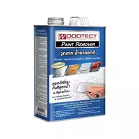 PAINT REMOVER WT PR-100 1 GL