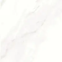 COTTO Floor Tile GP 60x60 cm OPERA 09289 EXC SOFT MATT R/T PM