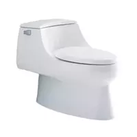 สุขภัณฑ์ชิ้นเดียว KOHLER K-75920X-S-0 San Raphael Class 5 4.8 ลิตร พร้อมฝารองนั่ง