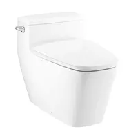 One Piece Toilet COTTO C101907 4.8 L