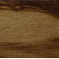 T-Flex Master Rubber Wood Tile TW 921