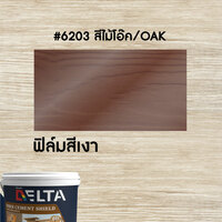 DELTA FIBER CEMENT SHIELD, translucent type, glossy film, oak color