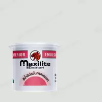 #X-502 Dulux Maxilite Exterior Smoky Grey X-502