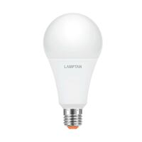 LAMPTAN A80 BULB GLOSS E27 22W LED bulb, daylight, pear shape