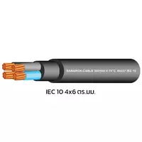 สายไฟ IEC 10 4x6 ตร.มม. สีดำ BCC