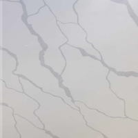 Quartz Stone CQ7007 60x60 cm