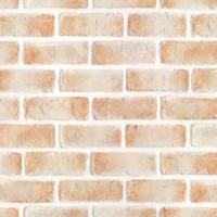 สติกเกอร์ติดผนัง ลาย Brick DBS-23