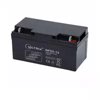 12 volt battery model NP65