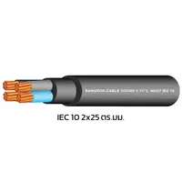 สายไฟ IEC 10 2x25 ตร.มม. สีดำ BCC