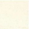 กระเบื้องยาง ปูพื้น รุ่น STARFLOR CP STARFLEX CP-4660 หนา 1.6 มม. ขนาด 30.48x30.48 ซม.