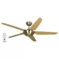 CEILING FAN 548NL CAR ABS MD AB 48"5P