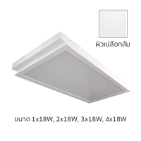 Recessed Acrylic Diffuser Luminaire Stipple T&F1 118 PR 1 × 18 W