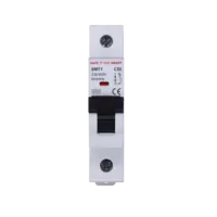 เบรกเกอร์ 50 แอมป์ MCB SAFE T CUT 1 Pole 6KA รุ่น SMT1