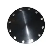 Steel blind flange