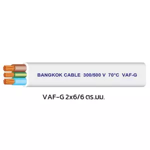 สายไฟ VAF-G 2x6/6 ตร.มม. สีขาว BCC 100 เมตร