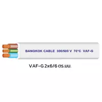 สายไฟ VAF-G 2x6/6 ตร.มม. BCC