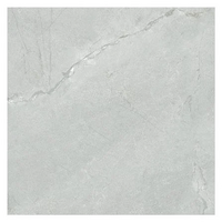 กระเบื้องปูพื้น 60x60 ซม. (24x24 นิ้ว) เรนาโต้ บราวน์ A 1.44M2
