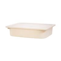 SMALL BOX WITH LID43x33x10cm 2011A BEIGE