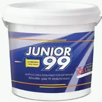 Exterior paint NIPPON PAINT JUNIOR99, white, matte type, 5 gallons