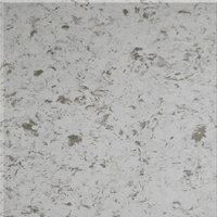 Quartz Stone CQ7008 60x60 cm
