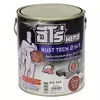 163 สีน้ำตาล