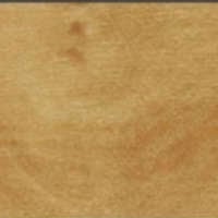 กระเบื้องยางไวนิลปูพื้น รุ่น Dynoflex Wood Series DYNOFLEX W-051