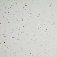 กระเบื้องปูพื้น 60x60 ซม. (24x24 นิ้ว) หินควอทซ์ CQ1214 60x60 cm