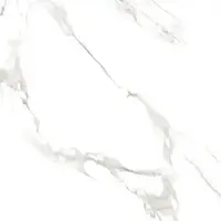 COTTO Floor Tile GP 60x120 cm L OCEAN POL R/T PM