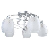 CEILING LIGHT PSG62-065 LE GS MD WH 5L