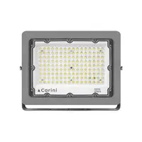 Outdoor spotlight LED CARINI NYSP100W 100 watt DAYLIGHT (1232760)