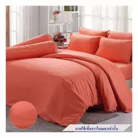 ชุดผ้าปู K6 TULIP DELIGHT 60239-DL541