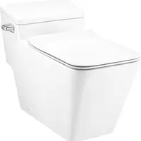 One Piece Toilet COTTO C63347 4.8 L