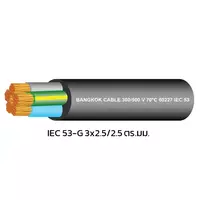 สายไฟ IEC 53-G 3x2.5/2.5 ตร.มม. BCC