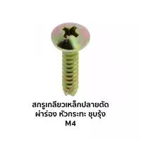 สกรูเกลียวเหล็กปลายตัดผ่าร่องชุบรุ้ง หัวกะทะ JT+ M4