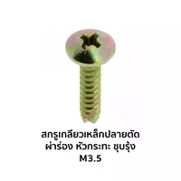 สกรูเกลียวเหล็กปลายตัดผ่าร่องชุบรุ้ง หัวกะทะ JT+ M3.5