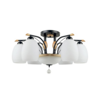 CEILING LIGHT 01-02685 LUM GS WH/BK 6+1L